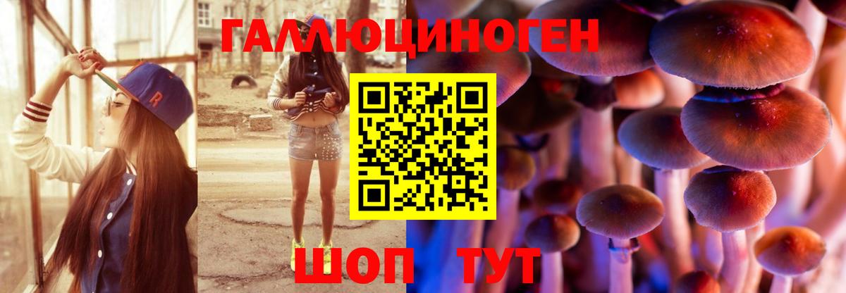 Медногорск  Псилоцибиновые грибы GOLDEN TEACHER  Вход с VPN 